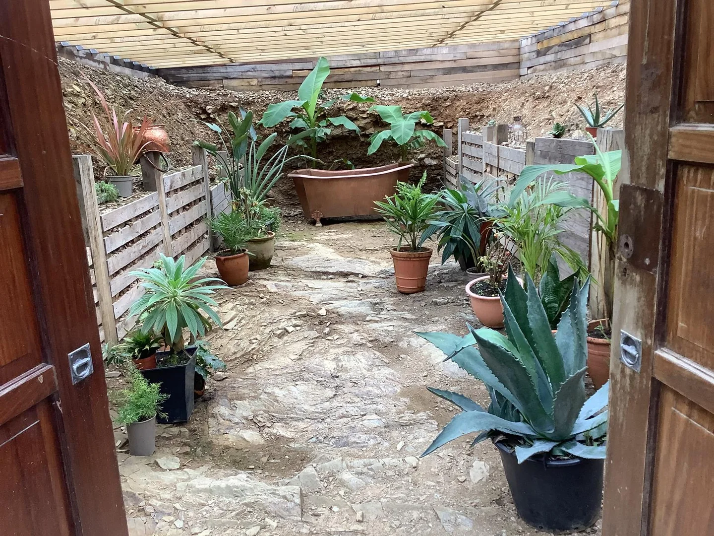 A sheltered courtyard with architectural plants and natural stone